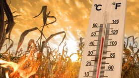 Alertă ANM! O lună de caniculă extremă și secetă lovește toată România